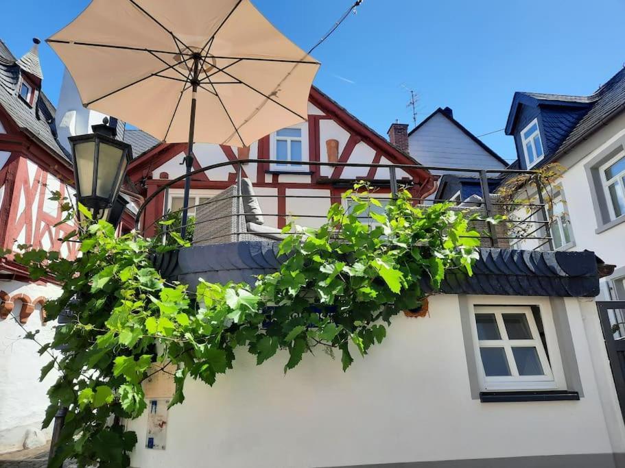Appartamento Modernes Tiny House Mit Sonnenterrasse Ediger-Eller Esterno foto